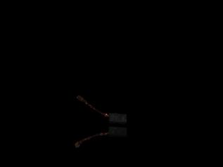 Carbon Brush
