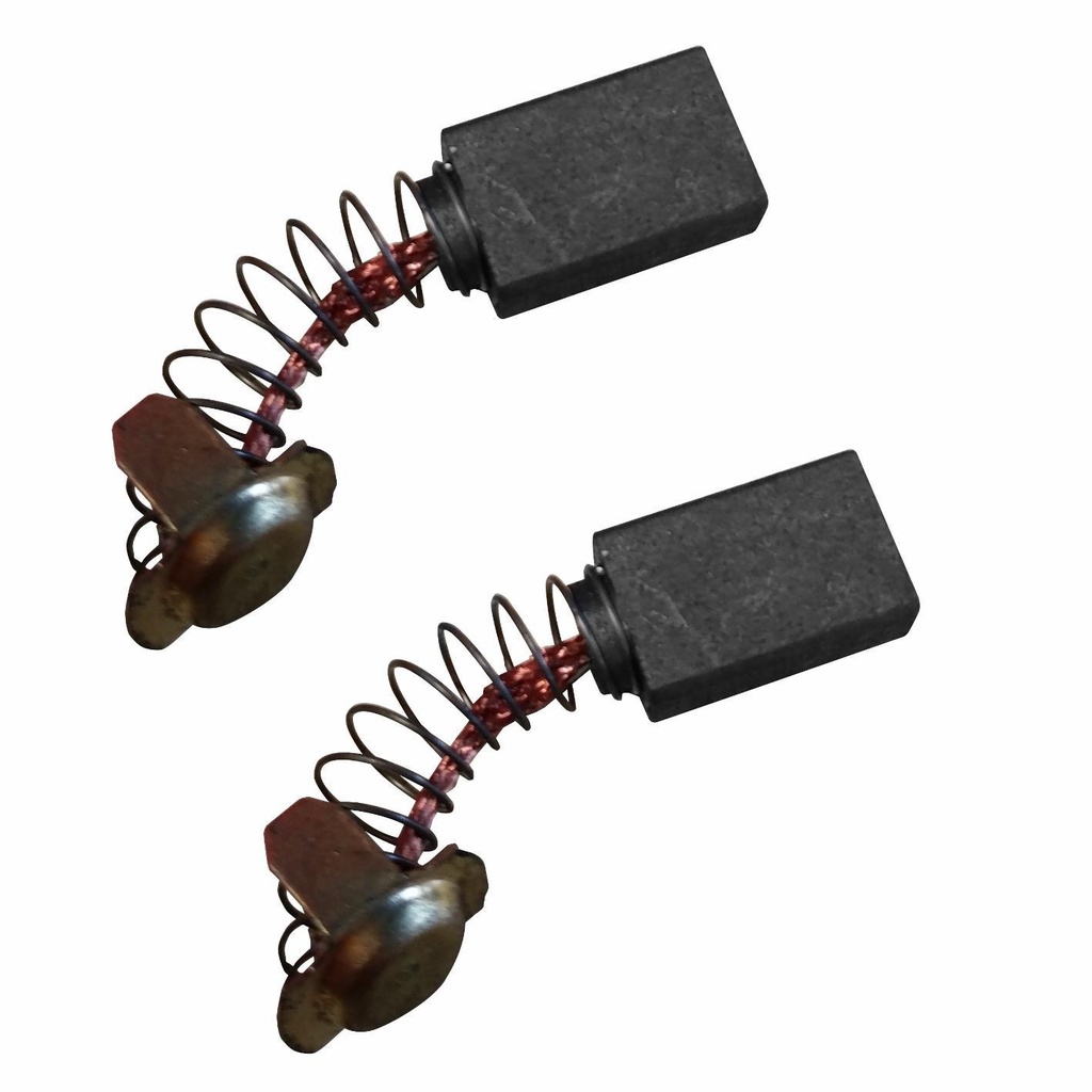 Carbon Brush