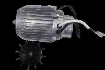 MOTOR ASSEMBLY