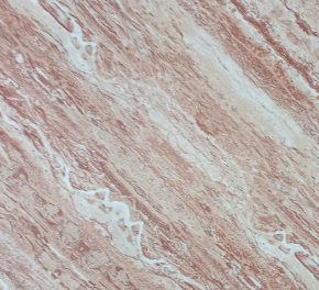 CARREAUX SOL CERAMIC 30*30 CTN/11 PCES INDE GC REF 1261