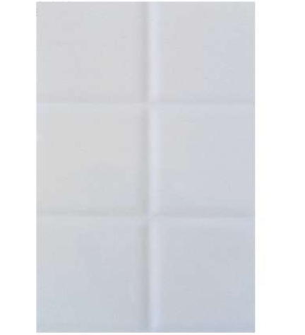 Carreaux Faïence Brillants Inde 25*40 Ctn de 1,00m² Ref:8243 LT