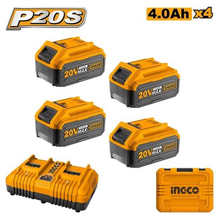 P20S Lithium-Ion battery and charger kit