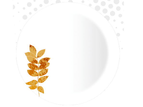 VIKAS DINNER SET URMI DESIGN 1 (37 PCS DINNER SET)