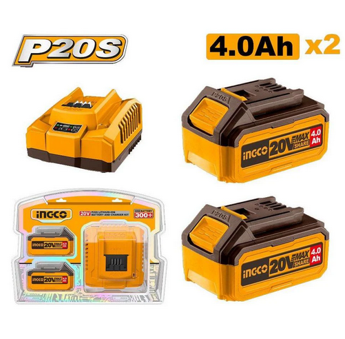P20S Lithium-Ion battery and charger kit