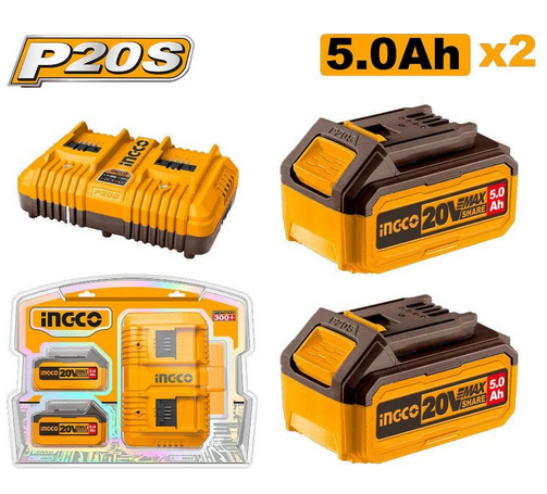 P20S Lithium-Ion battery and charger kit