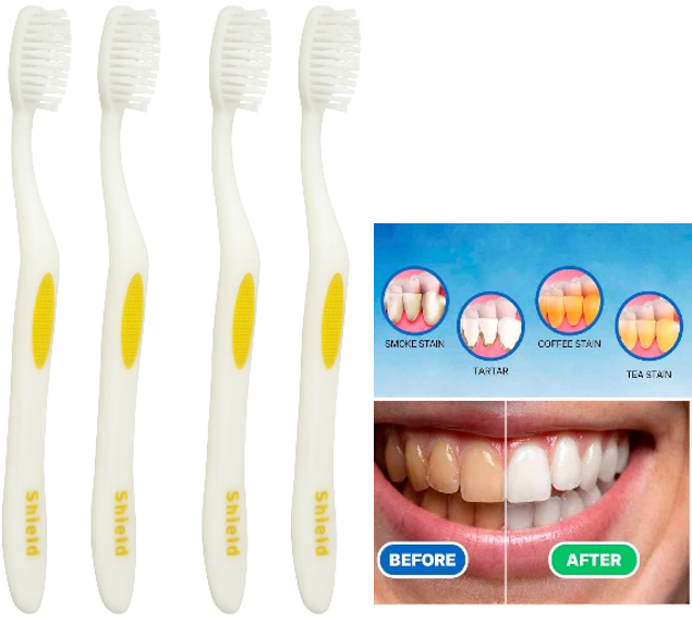 TOOTHBRUSH SHIELD Smokers ctn de 288pcs