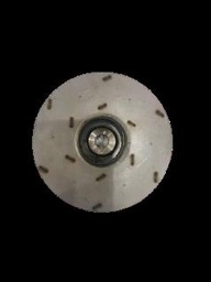 [JPT07508-SP-15] IMPELLER