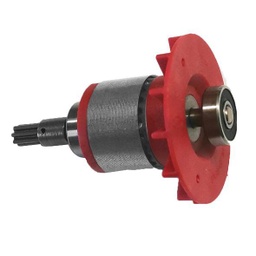 [CIWLI2001-SP-5] ROTOR