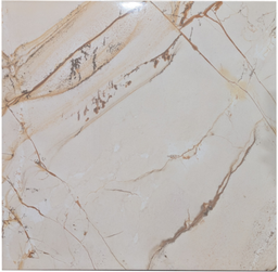 [Glossy White] Ceramic glazed floor tiles 60*60 ctn 4pcs