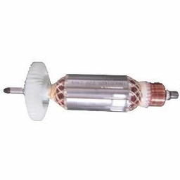 [AG110018-SP-25] Rotor