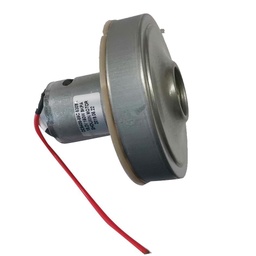 [CSGLI2001-SP-5] Motor