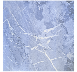 [TL5 50*50] CARREAUX SOL 50*50 EGYPTE FLOWER (ctn 1,5M2)