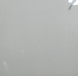 [PLAIN IVORY - GOLD CERA] Carreaux céramique ordinaire pour parking 30*30 ref: Plain Ivory (ctns de 8pcs=0.72m²)
