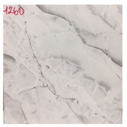 [1260] CARREAUX SOL CERAMIC 30*30 CTN/11 PCES INDE GC REF 1260