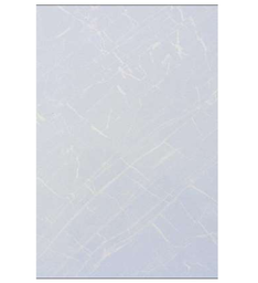 [8036 LT] Carreaux Faïence Brillants Inde 25*40 Ctn de 1,00m² Ref:8036 LT