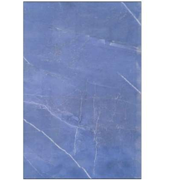 [8106 DK] Carreaux Faïence Brillants Inde 25*40 Ctn de 1,00m² Ref:8106 DK