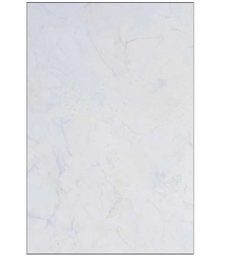 [8132 LT] Carreaux Faïence Brillants Inde 25*40 Ctn de 1,00m² Ref:8132 LT