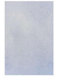 [8265 LT] Carreaux Faïence Brillants Inde 25*40 Ctn de 1,00m² Ref:8265 LT