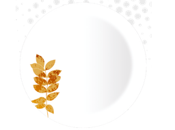 [VIKAS DINNER SET URMI DESIGN 1 (37 PCS DINNER SET)] VIKAS DINNER SET URMI DESIGN 1 (37 PCS DINNER SET)