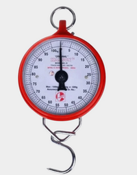 [Balance 100Kg] Balance HANSON 100Kg