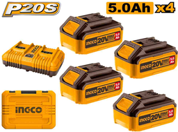 [FBCLI20245] P20S Lithium-Ion battery and charger kit