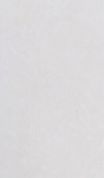 [JH1272] CARREAU 600*1200 ZIBO REF: JH1272 ( Ctn de 03 pcs, Box=2,16 m²)